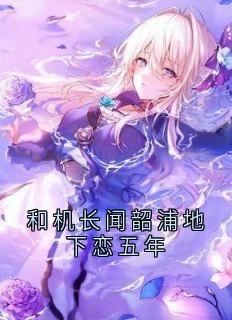 和机长闻韶浦地下恋五年