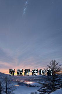 乔望舒傅时修